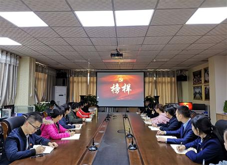 向榜樣看齊，做合格黨員