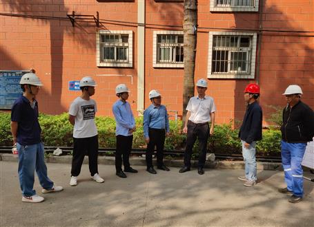 何勇、韋克雪到柳州市城市更新項目進行調(diào)研指導(dǎo)工作